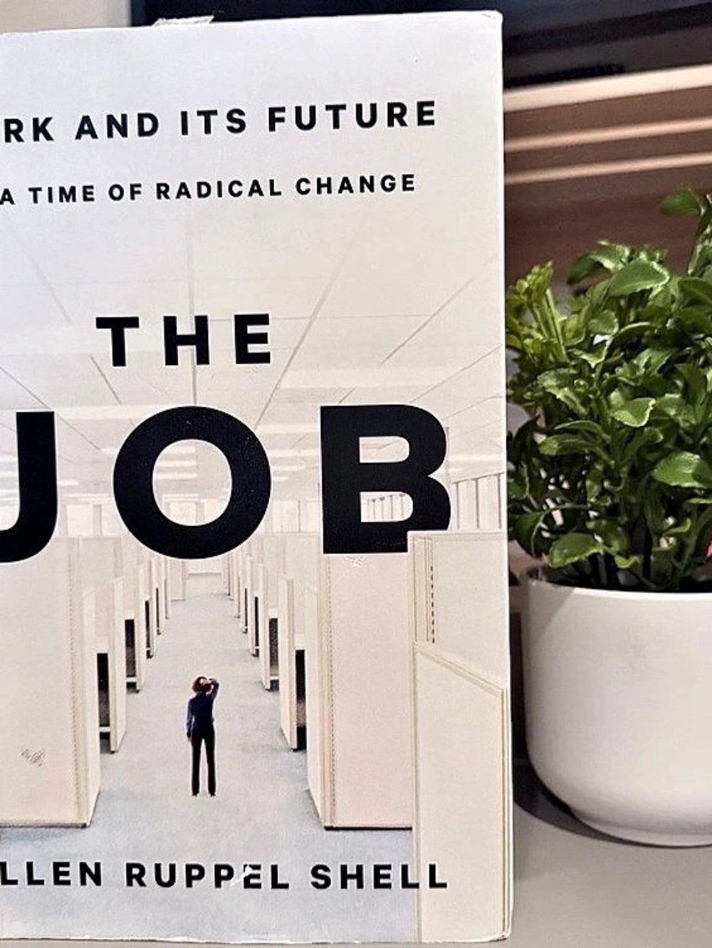 The Job: Work and Its Future in a Time of Radical Change Book